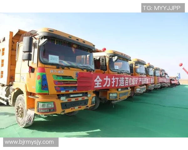 新疆广汇产业布局与多元化发展路径研究探索