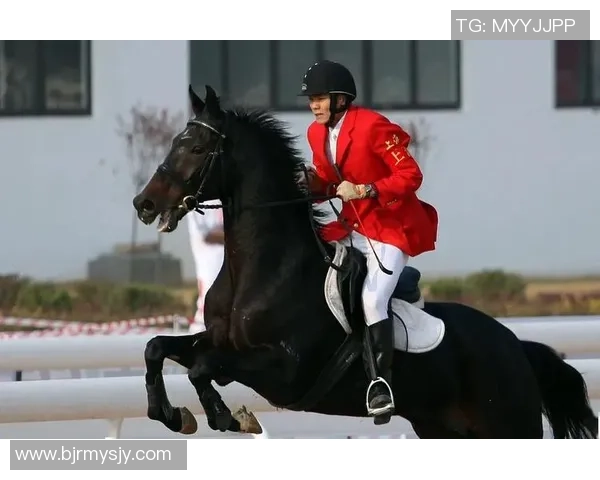 邵佳一的足球生涯与国家队贡献深度解析及其退役后的多重身份转型